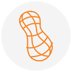 peanut icon